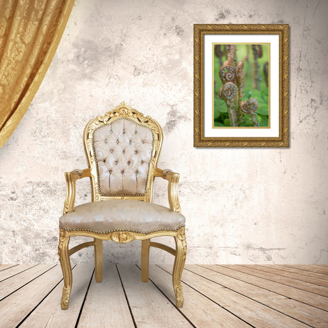 Sword Fern II Gold Ornate Wood Framed Art Print with Double Matting by Mahan, Kathy