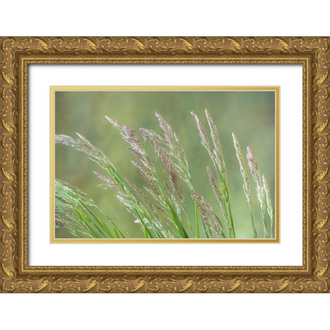 Velvet Grass II Gold Ornate Wood Framed Art Print with Double Matting by Mahan, Kathy