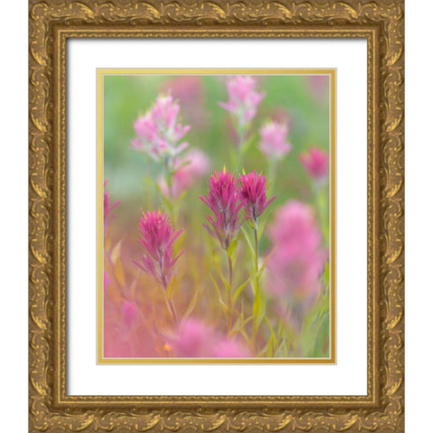Indian Paintbrush II Gold Ornate Wood Framed Art Print with Double Matting by Mahan, Kathy