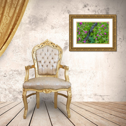 Wildflower Meadow I Gold Ornate Wood Framed Art Print with Double Matting by Mahan, Kathy