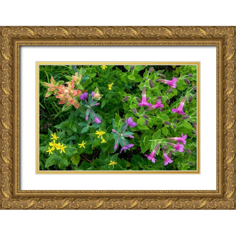 Wildflower Meadow II Gold Ornate Wood Framed Art Print with Double Matting by Mahan, Kathy