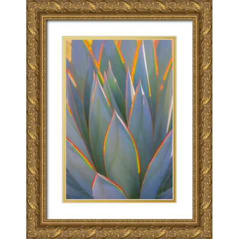 California Agave I Gold Ornate Wood Framed Art Print with Double Matting by Mahan, Kathy