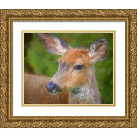 Blacktail Deer II Gold Ornate Wood Framed Art Print with Double Matting by Mahan, Kathy