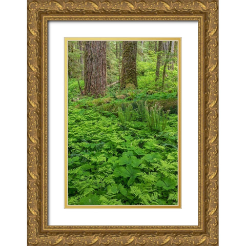 Spring in the Forest Gold Ornate Wood Framed Art Print with Double Matting by Mahan, Kathy