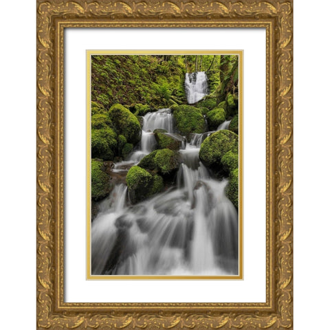 Waterfall I Gold Ornate Wood Framed Art Print with Double Matting by Mahan, Kathy