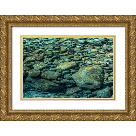 Sol Duc River Rocks II Gold Ornate Wood Framed Art Print with Double Matting by Mahan, Kathy