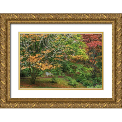 Garden Path Gold Ornate Wood Framed Art Print with Double Matting by Mahan, Kathy