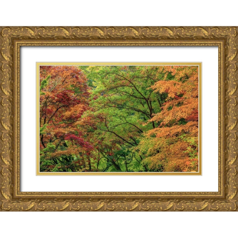 Autumn Forest Gold Ornate Wood Framed Art Print with Double Matting by Mahan, Kathy