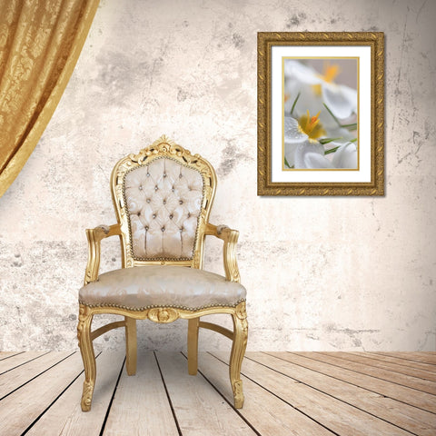 White Crocus Blossoms I Gold Ornate Wood Framed Art Print with Double Matting by Mahan, Kathy