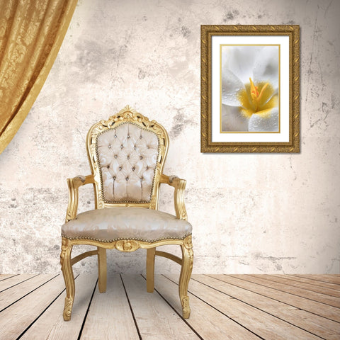White Crocus Blossoms II Gold Ornate Wood Framed Art Print with Double Matting by Mahan, Kathy