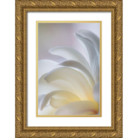 White Magnolia Gold Ornate Wood Framed Art Print with Double Matting by Mahan, Kathy