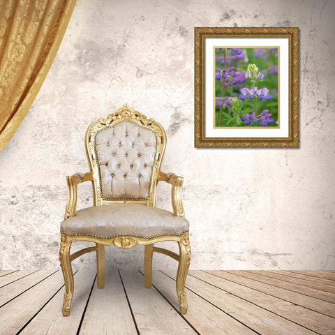 Lupine Blossoms I Gold Ornate Wood Framed Art Print with Double Matting by Mahan, Kathy