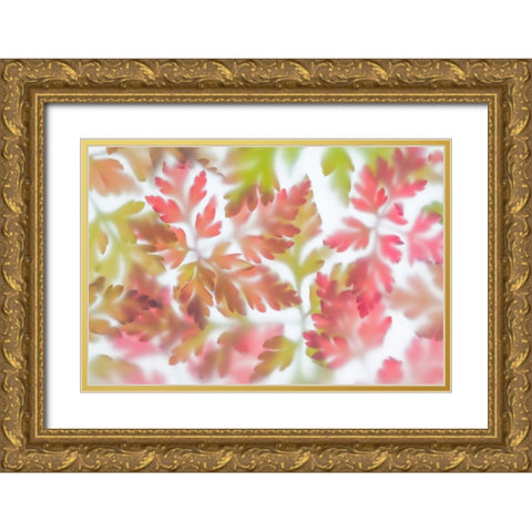 Herb Robert II Gold Ornate Wood Framed Art Print with Double Matting by Mahan, Kathy