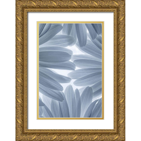 Shasta Daisies II Gold Ornate Wood Framed Art Print with Double Matting by Mahan, Kathy