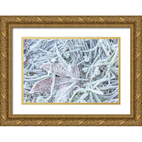 Maple Leaf and Frost I Gold Ornate Wood Framed Art Print with Double Matting by Mahan, Kathy