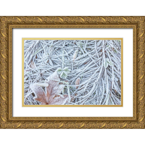 Maple Leaf and Frost II Gold Ornate Wood Framed Art Print with Double Matting by Mahan, Kathy