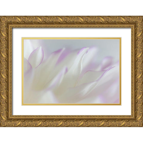Dahlia Petals I Gold Ornate Wood Framed Art Print with Double Matting by Mahan, Kathy