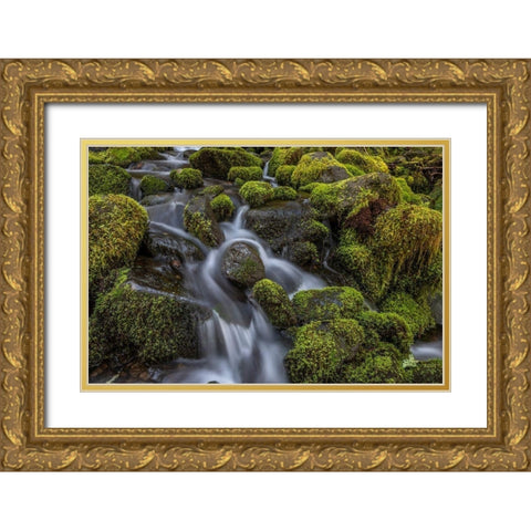 Cedar Creek Detail I Gold Ornate Wood Framed Art Print with Double Matting by Mahan, Kathy