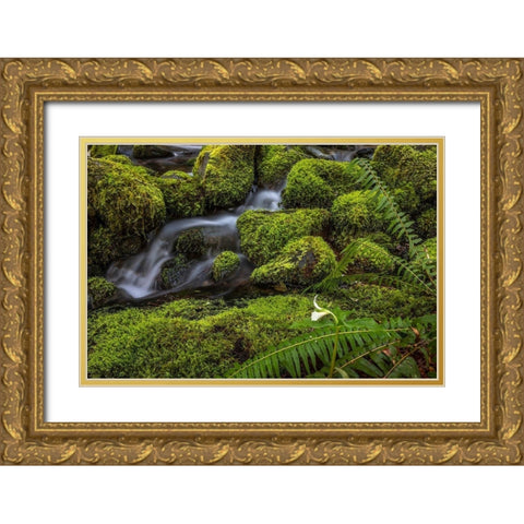 Cedar Creek Detail II Gold Ornate Wood Framed Art Print with Double Matting by Mahan, Kathy