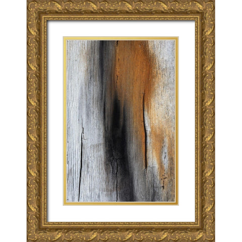 Wood Details IV Gold Ornate Wood Framed Art Print with Double Matting by Mahan, Kathy