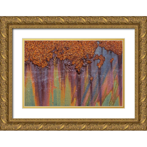 Rust I Gold Ornate Wood Framed Art Print with Double Matting by Mahan, Kathy