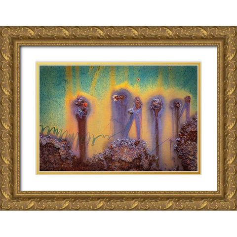 Rust II Gold Ornate Wood Framed Art Print with Double Matting by Mahan, Kathy