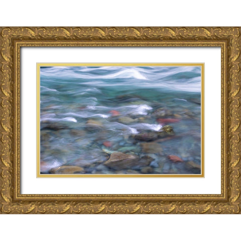 NF Skokomish River I Gold Ornate Wood Framed Art Print with Double Matting by Mahan, Kathy