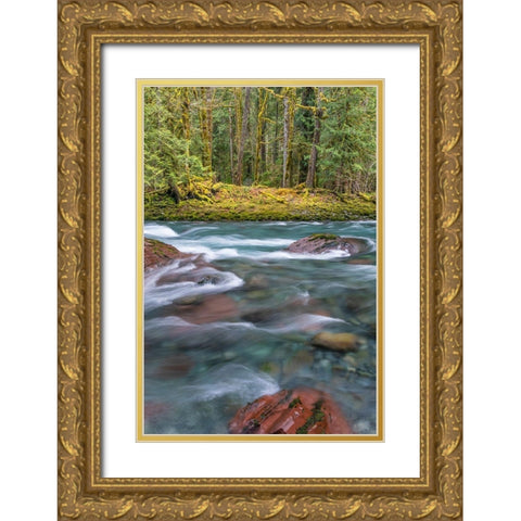 NF Skokomish River IV Gold Ornate Wood Framed Art Print with Double Matting by Mahan, Kathy