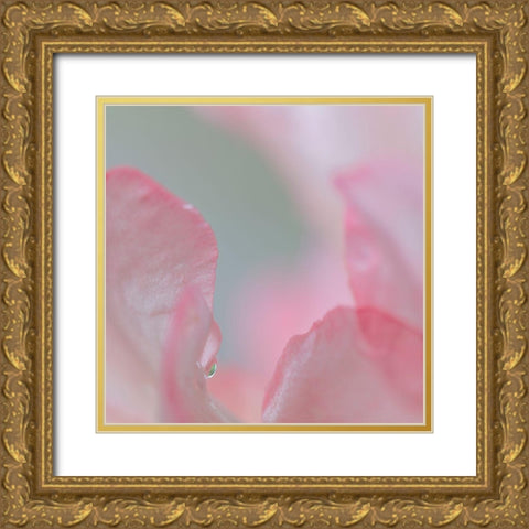 Rhododendron Blossom I Gold Ornate Wood Framed Art Print with Double Matting by Mahan, Kathy