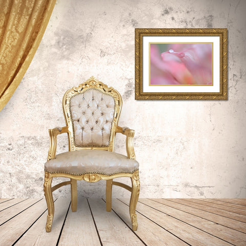 Rhododendron Blossom IV Gold Ornate Wood Framed Art Print with Double Matting by Mahan, Kathy