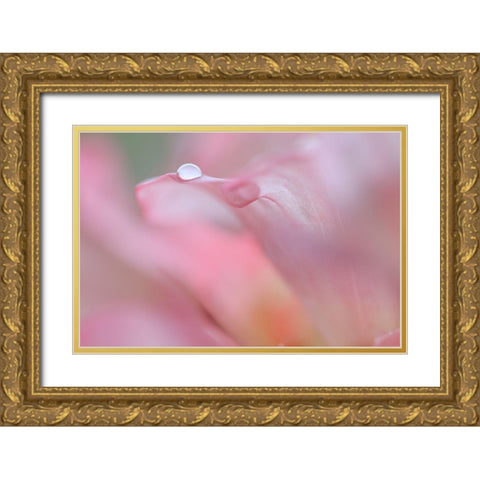Rhododendron Blossom IV Gold Ornate Wood Framed Art Print with Double Matting by Mahan, Kathy