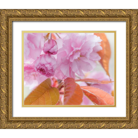 Pink Cherry Blossoms I Gold Ornate Wood Framed Art Print with Double Matting by Mahan, Kathy