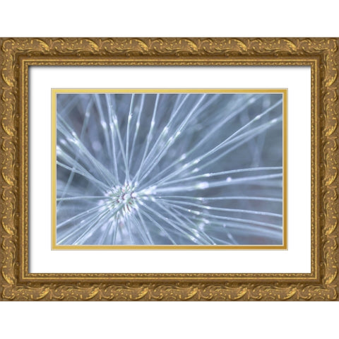 Horsetail I Gold Ornate Wood Framed Art Print with Double Matting by Mahan, Kathy