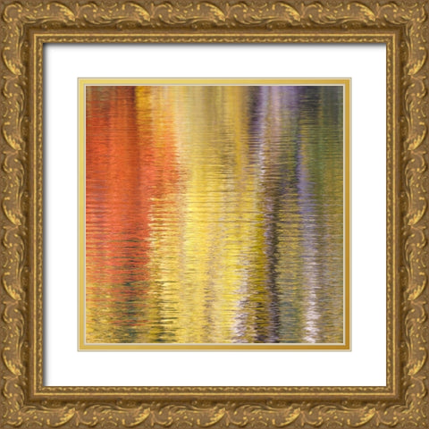 Fall Reflections IV Gold Ornate Wood Framed Art Print with Double Matting by Mahan, Kathy