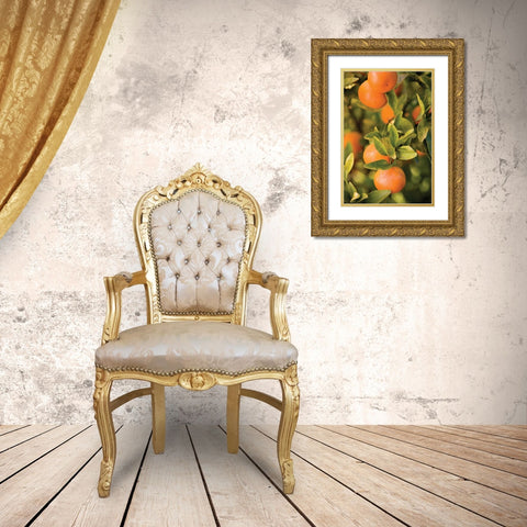 OrangesII Gold Ornate Wood Framed Art Print with Double Matting by Millet, Karyn