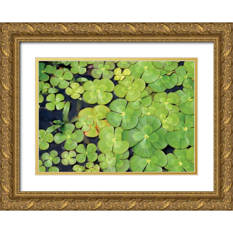 Lily Pads Gold Ornate Wood Framed Art Print with Double Matting by Millet, Karyn