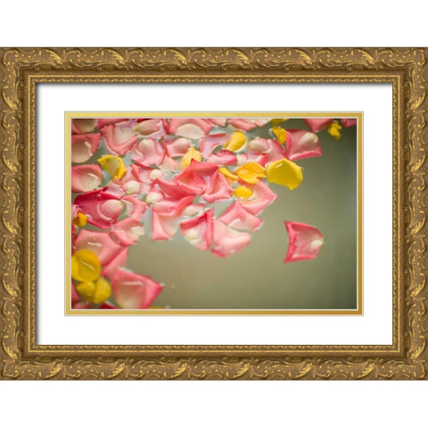 Rose Petals Gold Ornate Wood Framed Art Print with Double Matting by Millet, Karyn
