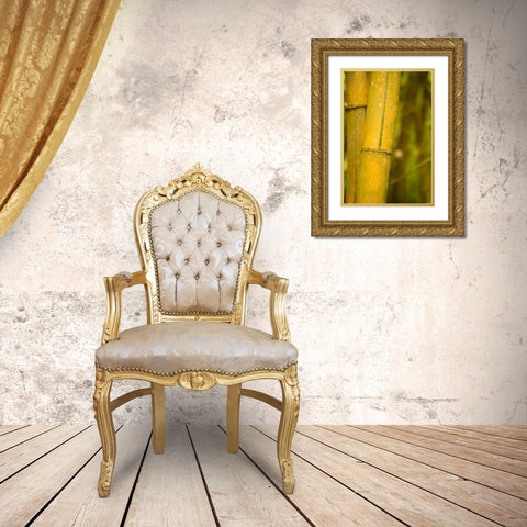 Bamboo I Gold Ornate Wood Framed Art Print with Double Matting by Millet, Karyn