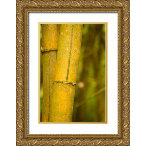 Bamboo I Gold Ornate Wood Framed Art Print with Double Matting by Millet, Karyn