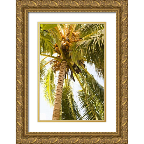 Beach Palm I Gold Ornate Wood Framed Art Print with Double Matting by Millet, Karyn
