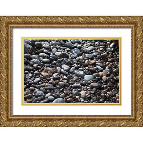 Pebble Patch II Gold Ornate Wood Framed Art Print with Double Matting by Millet, Karyn
