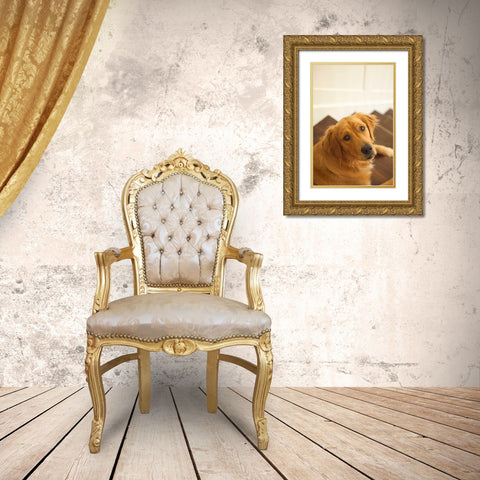 Goldie I Gold Ornate Wood Framed Art Print with Double Matting by Millet, Karyn
