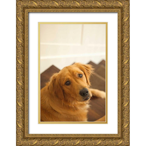 Goldie I Gold Ornate Wood Framed Art Print with Double Matting by Millet, Karyn