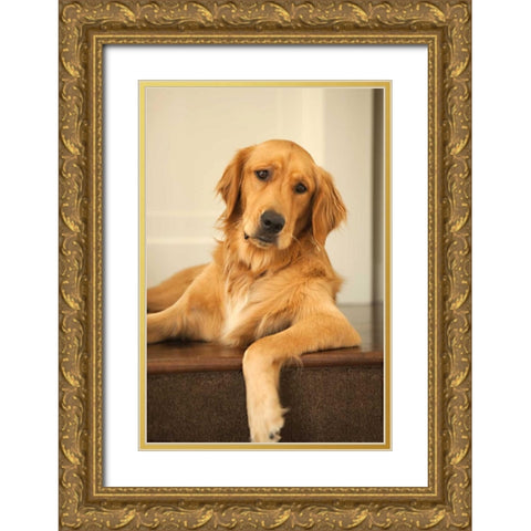Goldie II Gold Ornate Wood Framed Art Print with Double Matting by Millet, Karyn