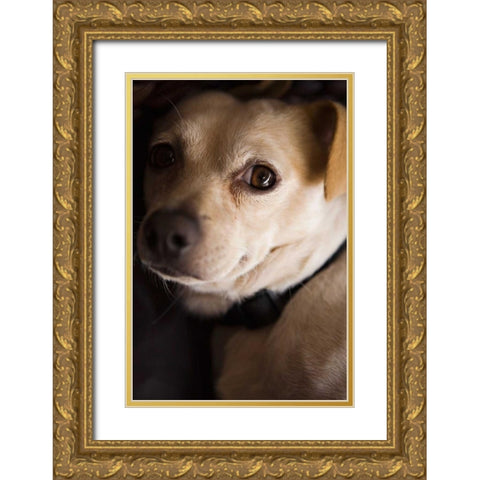 Second Glance Gold Ornate Wood Framed Art Print with Double Matting by Millet, Karyn