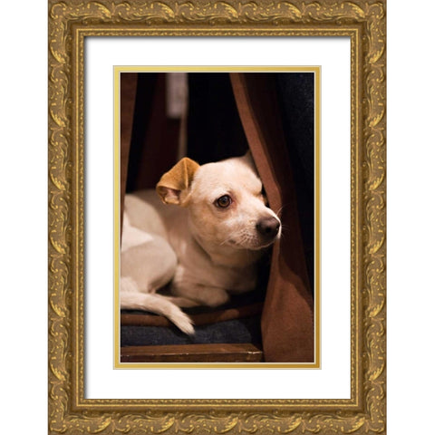 Napping Gold Ornate Wood Framed Art Print with Double Matting by Millet, Karyn