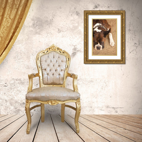 Boxer Gold Ornate Wood Framed Art Print with Double Matting by Millet, Karyn