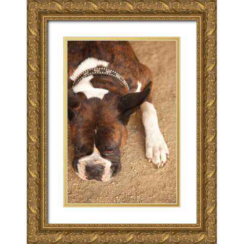 Boxer Gold Ornate Wood Framed Art Print with Double Matting by Millet, Karyn