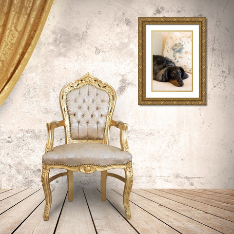 Dachshund Gold Ornate Wood Framed Art Print with Double Matting by Millet, Karyn