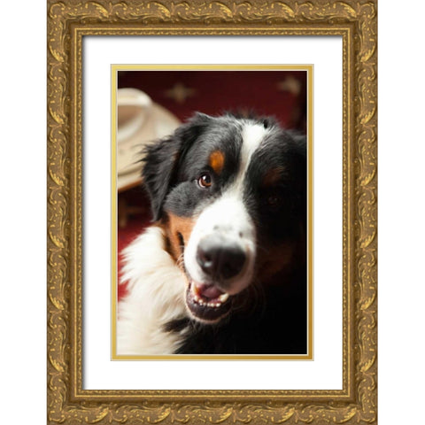 Ranch Dog Gold Ornate Wood Framed Art Print with Double Matting by Millet, Karyn